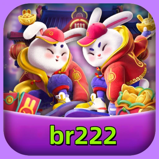 br222 Logo